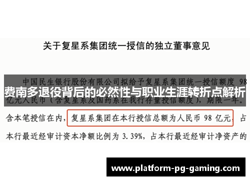 费南多退役背后的必然性与职业生涯转折点解析