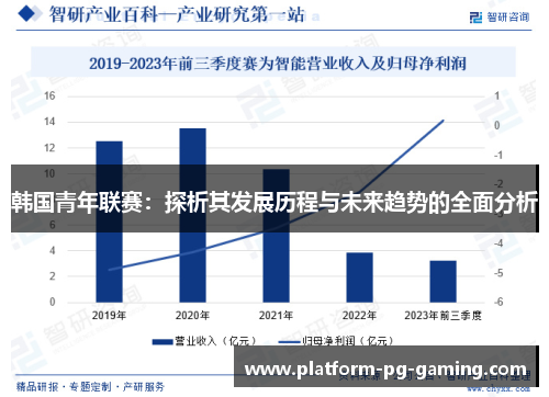 韩国青年联赛：探析其发展历程与未来趋势的全面分析